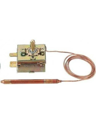 Termostat decantor ceara