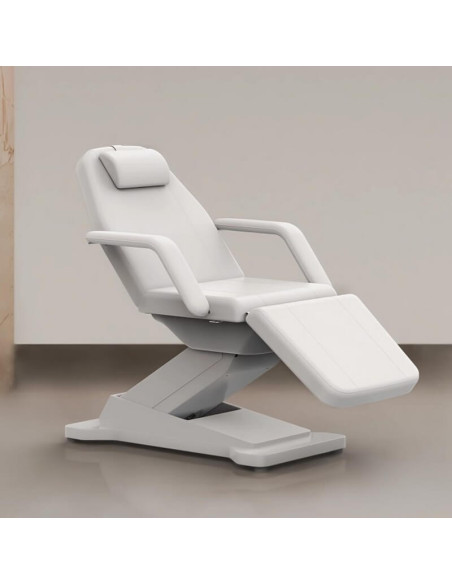 Pat cosmetic profesional cu 3 motoare si incălzire – HEAT 2214A