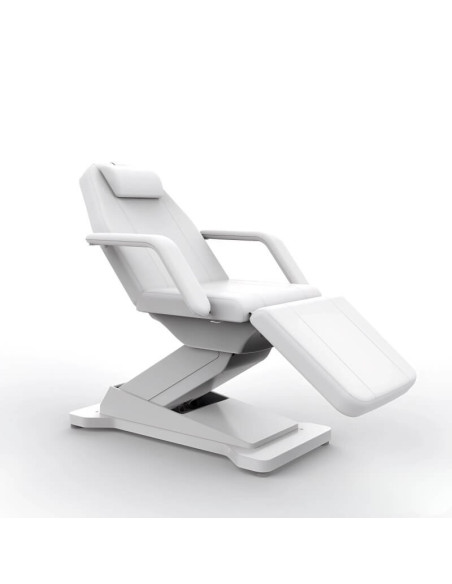 Pat cosmetic profesional cu 3 motoare si incălzire – HEAT 2214A