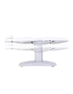 Pat cosmetic profesional cu 3 motoare electrice – model 2270F 2