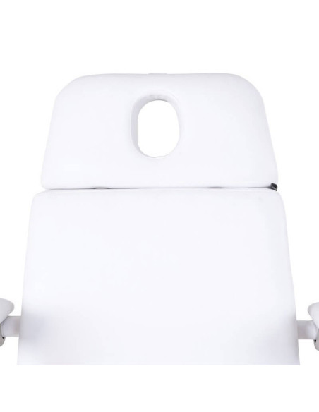 Pat cosmetic profesional cu 3 motoare electrice – model 2270F