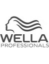 Wella Professionals – Îngrijirea Părului la Nivel Salon, Acasă